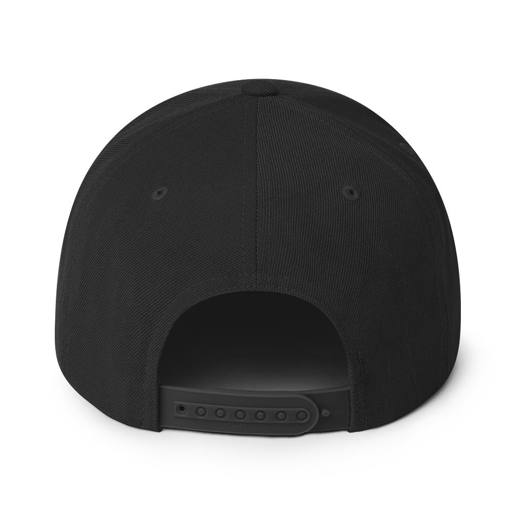 Ninja Kiwi Logo Cap (Snapback) - Image 19