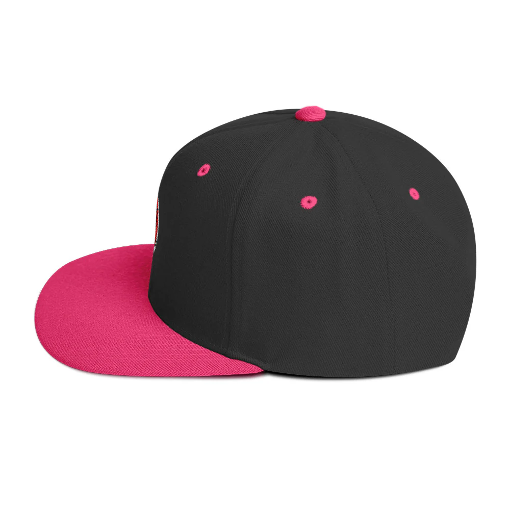Ninja Kiwi Logo Cap (Snapback) - Image 24