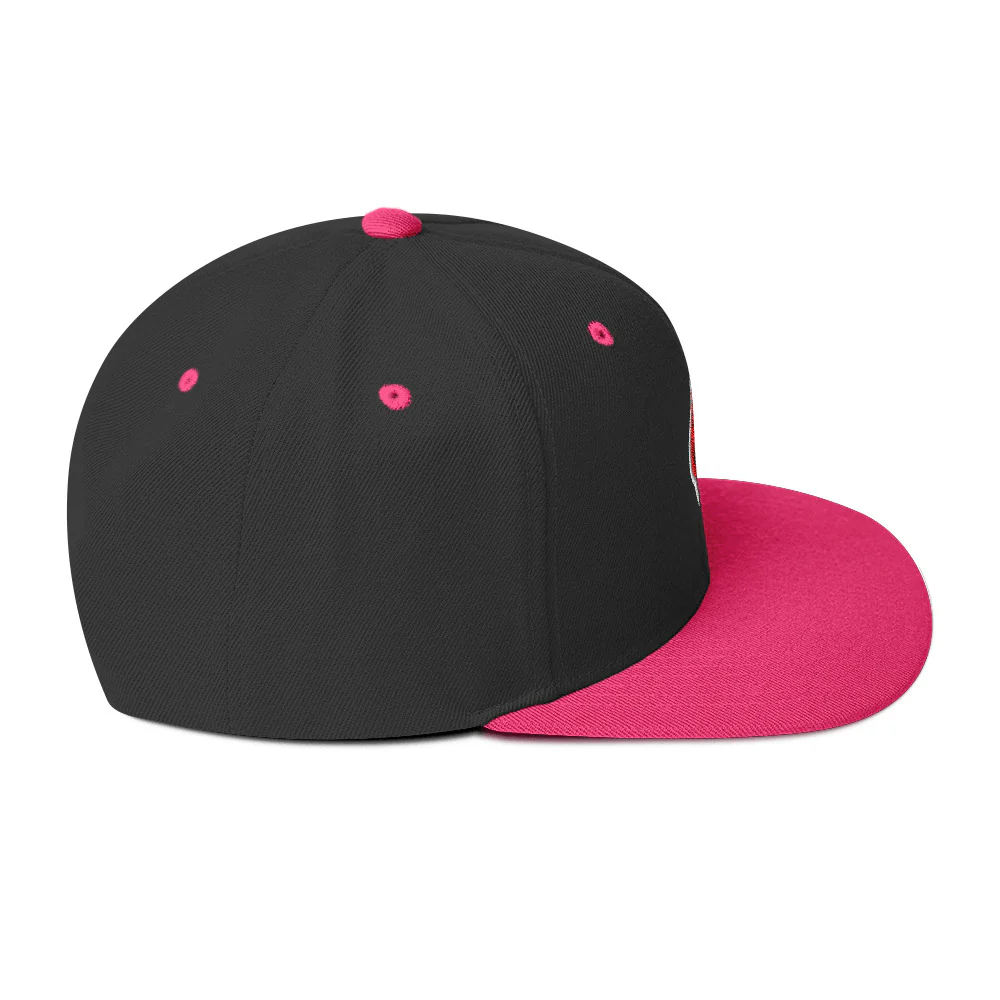 Ninja Kiwi Logo Cap (Snapback) - Image 25