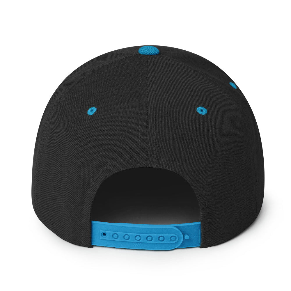 Ninja Kiwi Logo Cap (Snapback) - Image 27