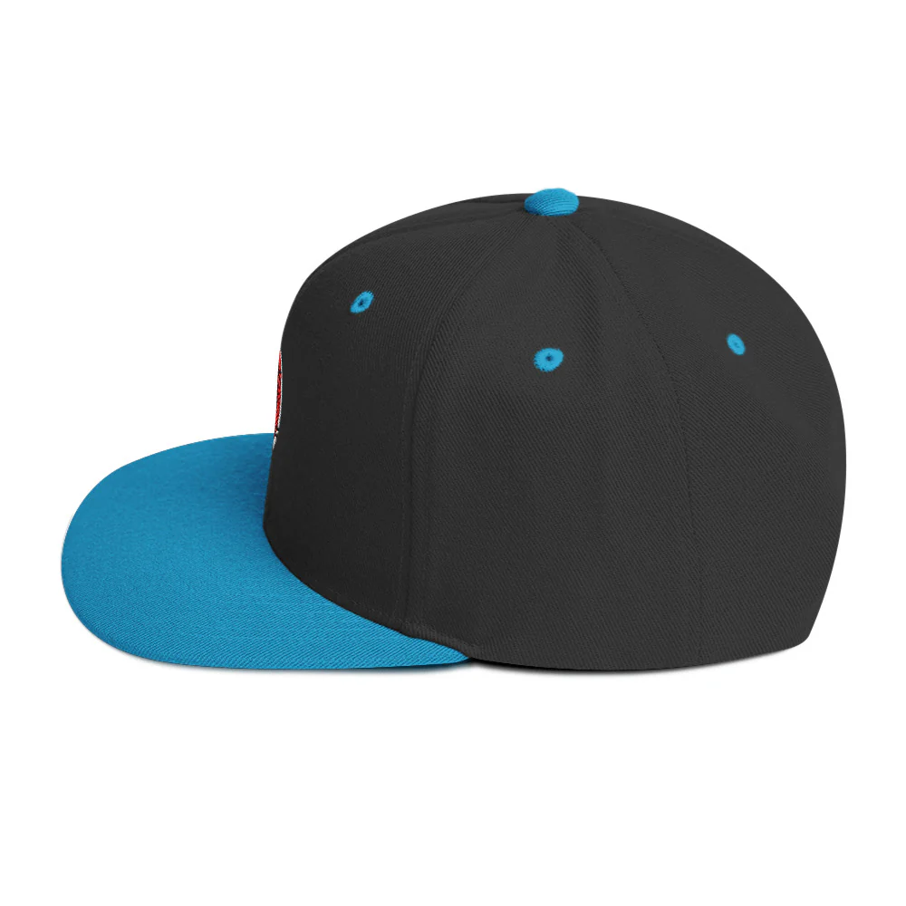 Ninja Kiwi Logo Cap (Snapback) - Image 28