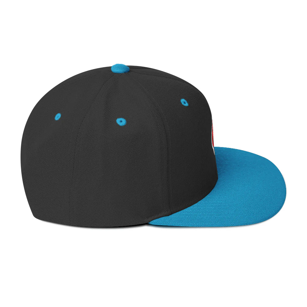 Ninja Kiwi Logo Cap (Snapback) - Image 29