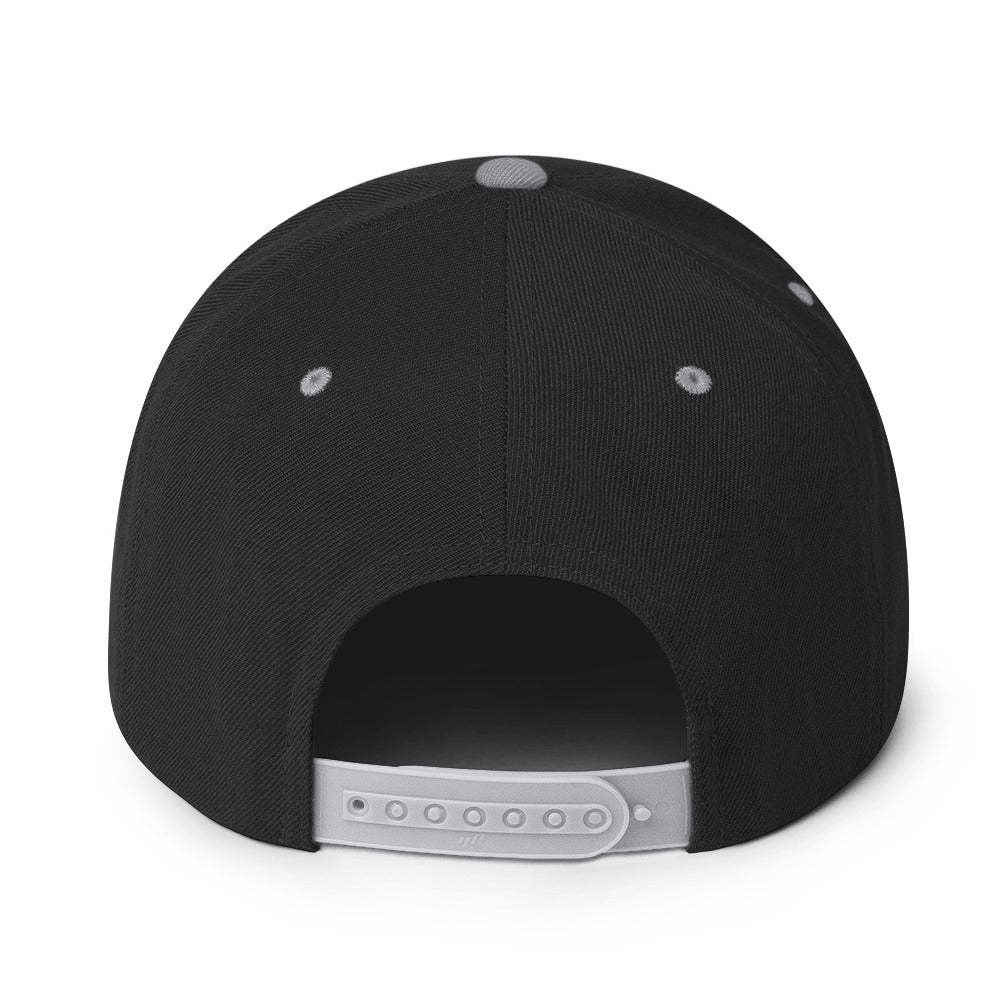 Ninja Kiwi Logo Cap (Snapback) - Image 31