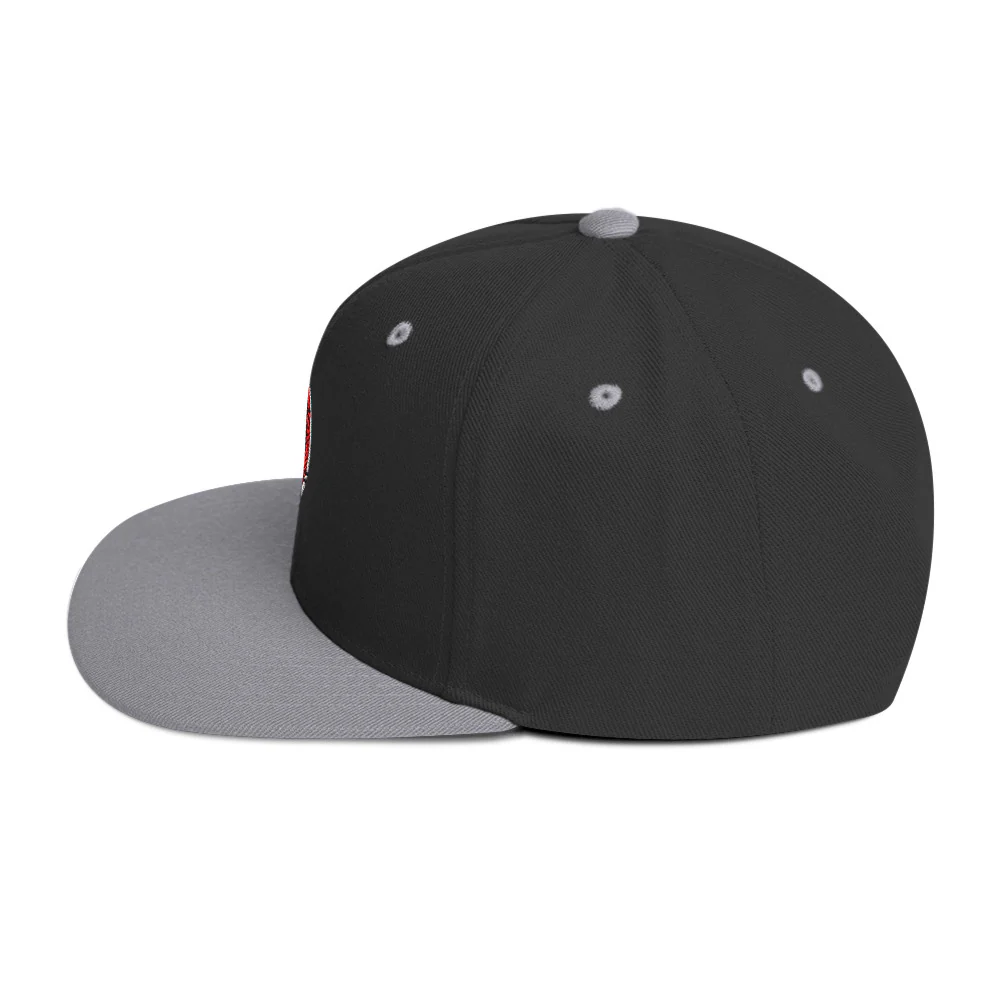 Ninja Kiwi Logo Cap (Snapback) - Image 32