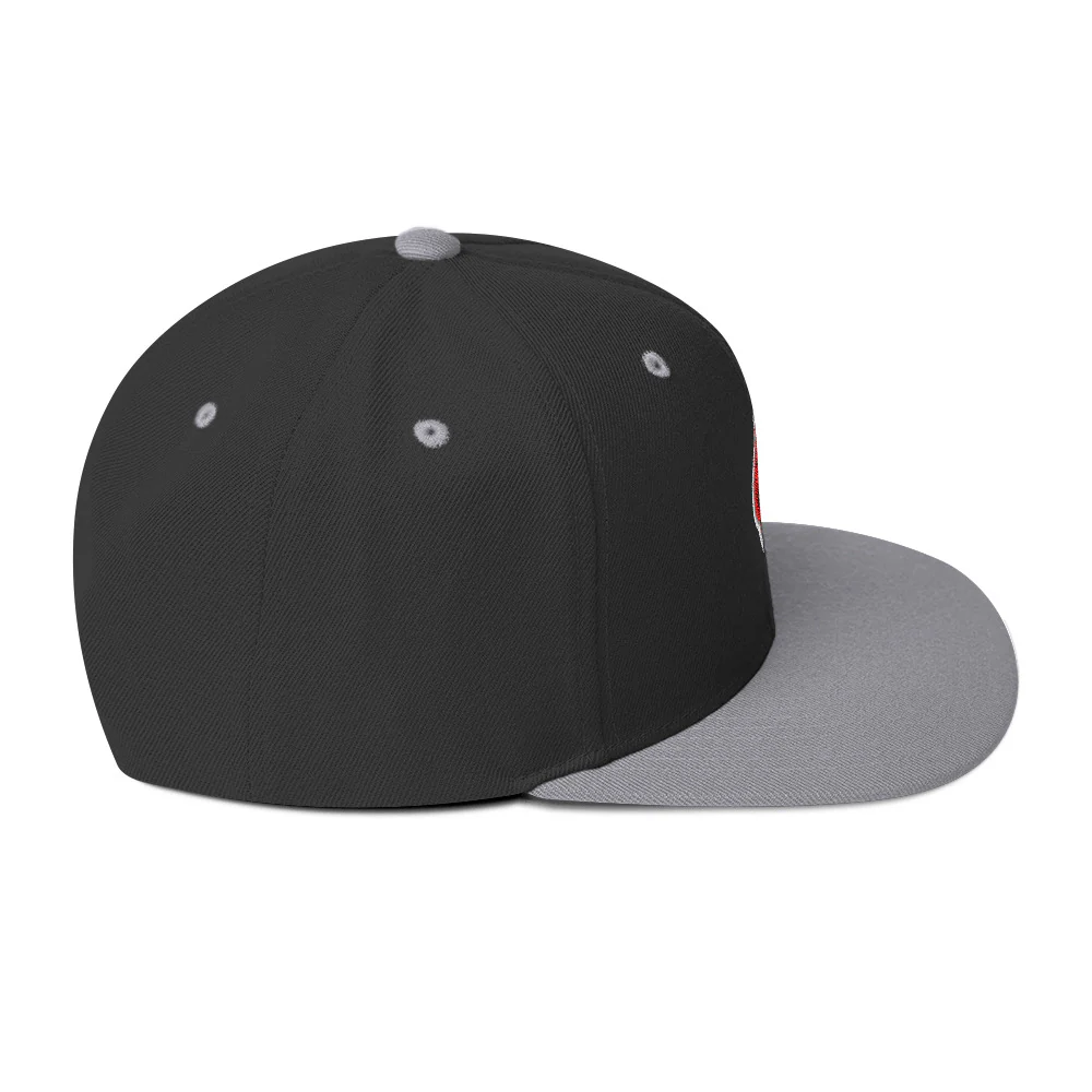Ninja Kiwi Logo Cap (Snapback) - Image 33